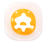 Custom Software