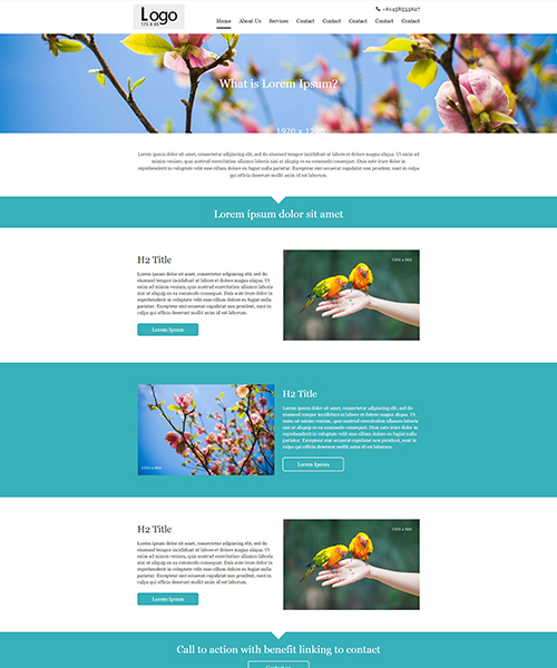portfolio-img
